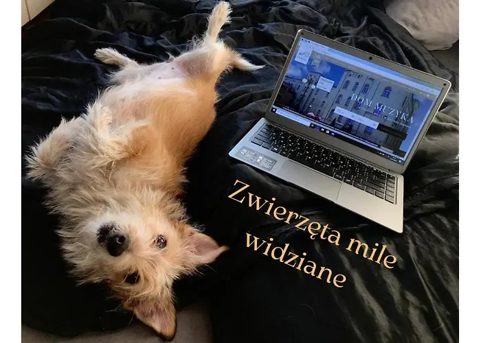 Dom Muzyka Apartmanhotel 4*