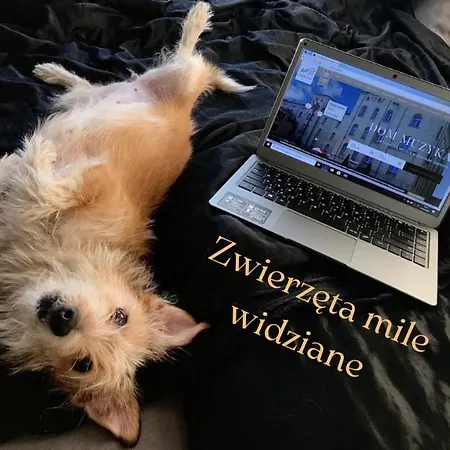 Dom Muzyka Aparthotel 4*